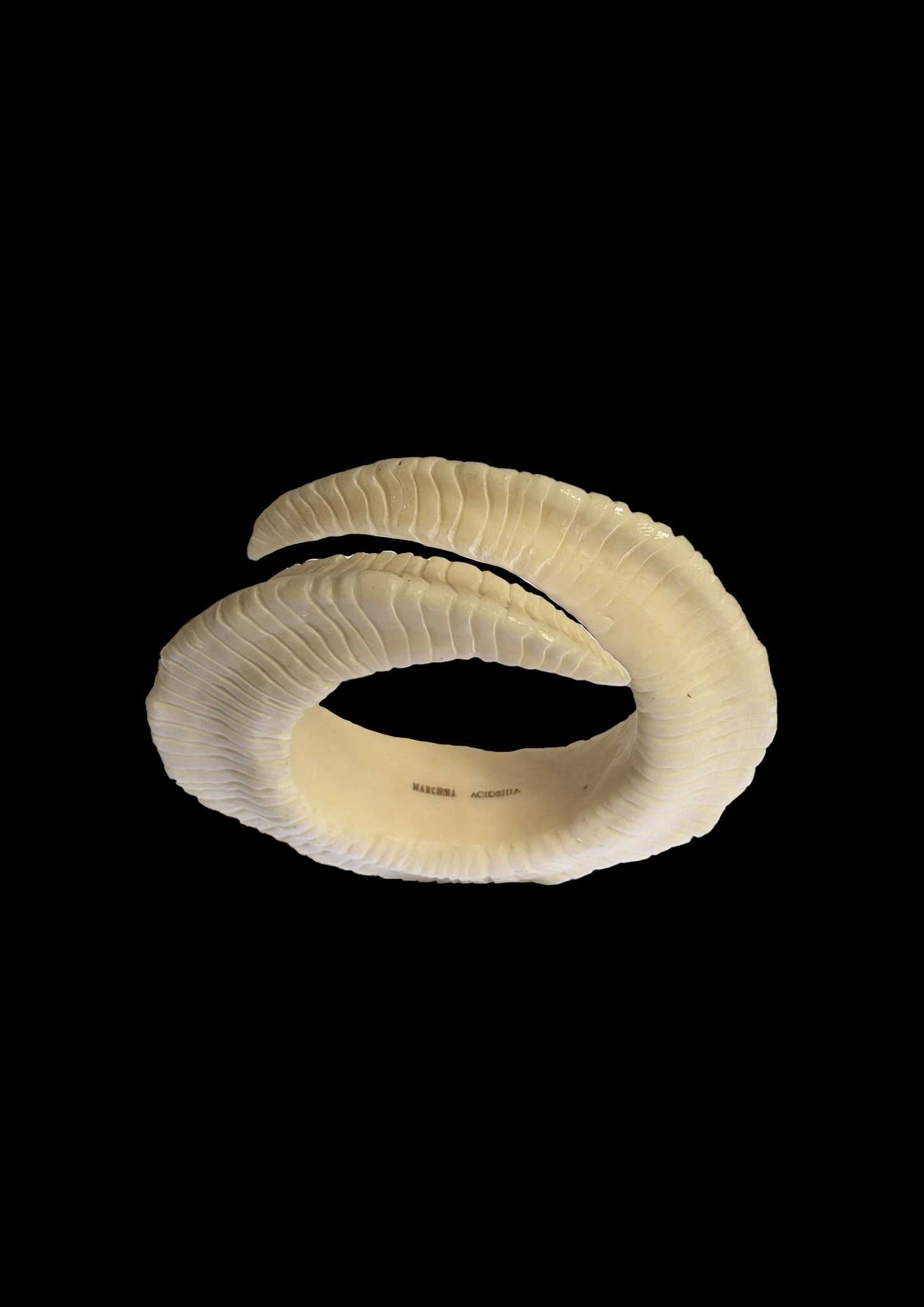 Horn Cuff x Acidsiiia