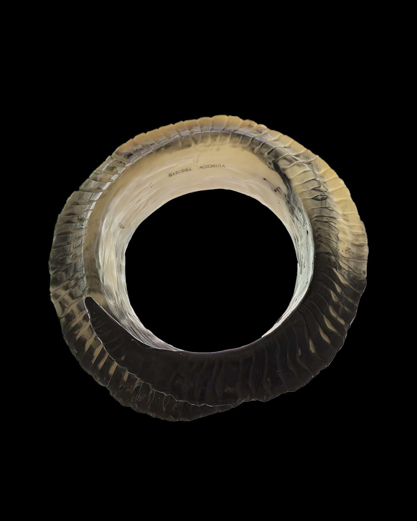 Horn Cuff x Acidsiiia